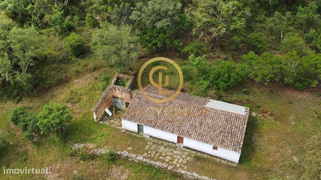 Quinta de 6 hectares perto de São Martinho das Amoreiras-3