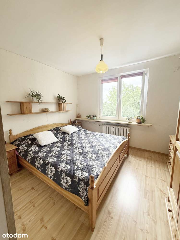 tylko tu  ładne 2/3 pokojowe os. Pomorskie-7