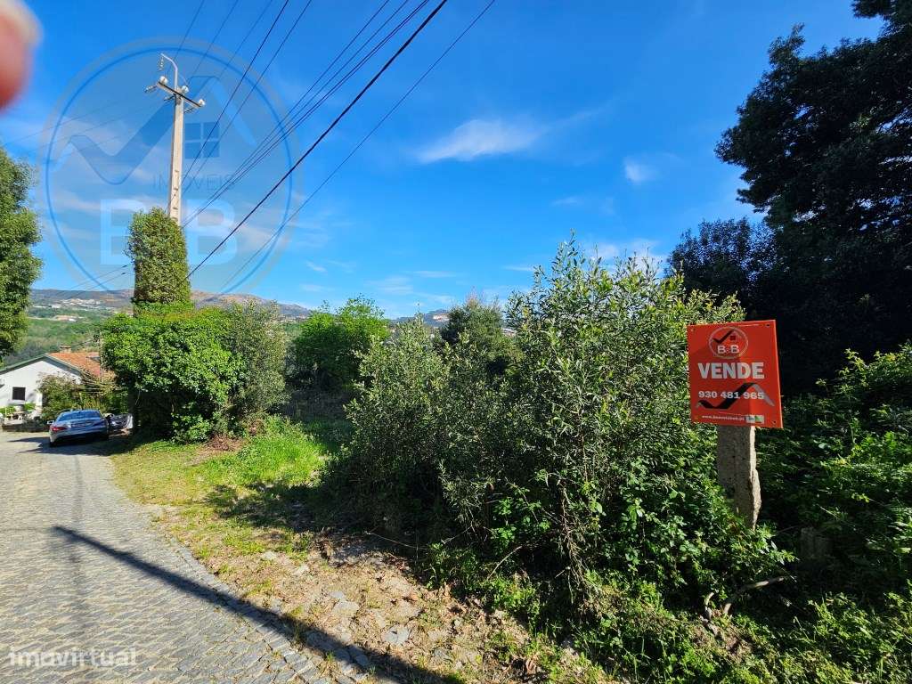 Terreno com 1ha, em Boelhe, Penafiel - Grande imagem: 5/11