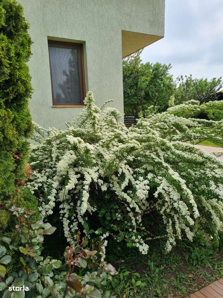 Casa la cheie zona rezidentiala - Imagine principală: 2/18