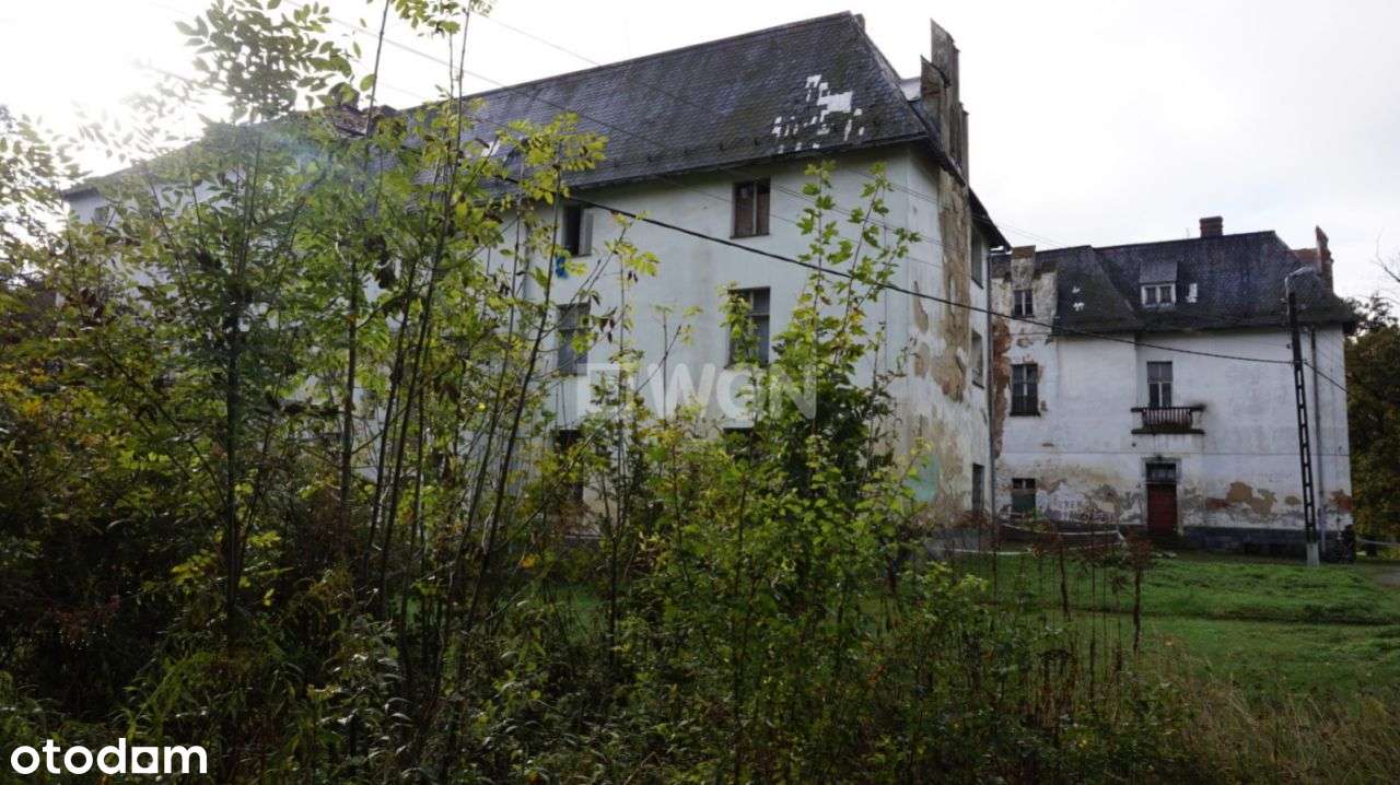 20ha Unikat -Pałac 3'500m2 z pięknym jeziorem 7ha - Pełny obrazek: 5/20