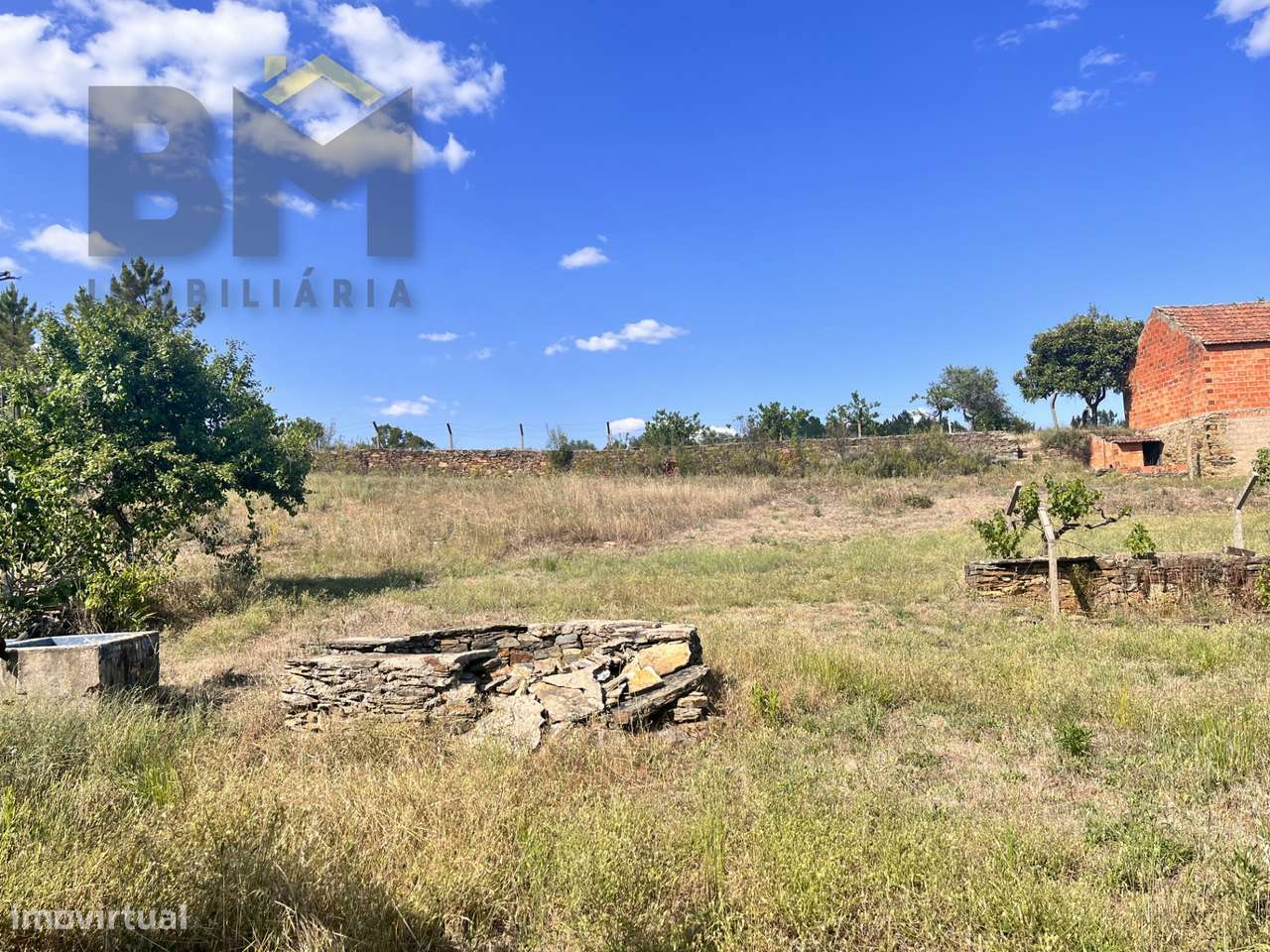 Moradia T3 Venda em Santo André das Tojeiras,Castelo Branco-31