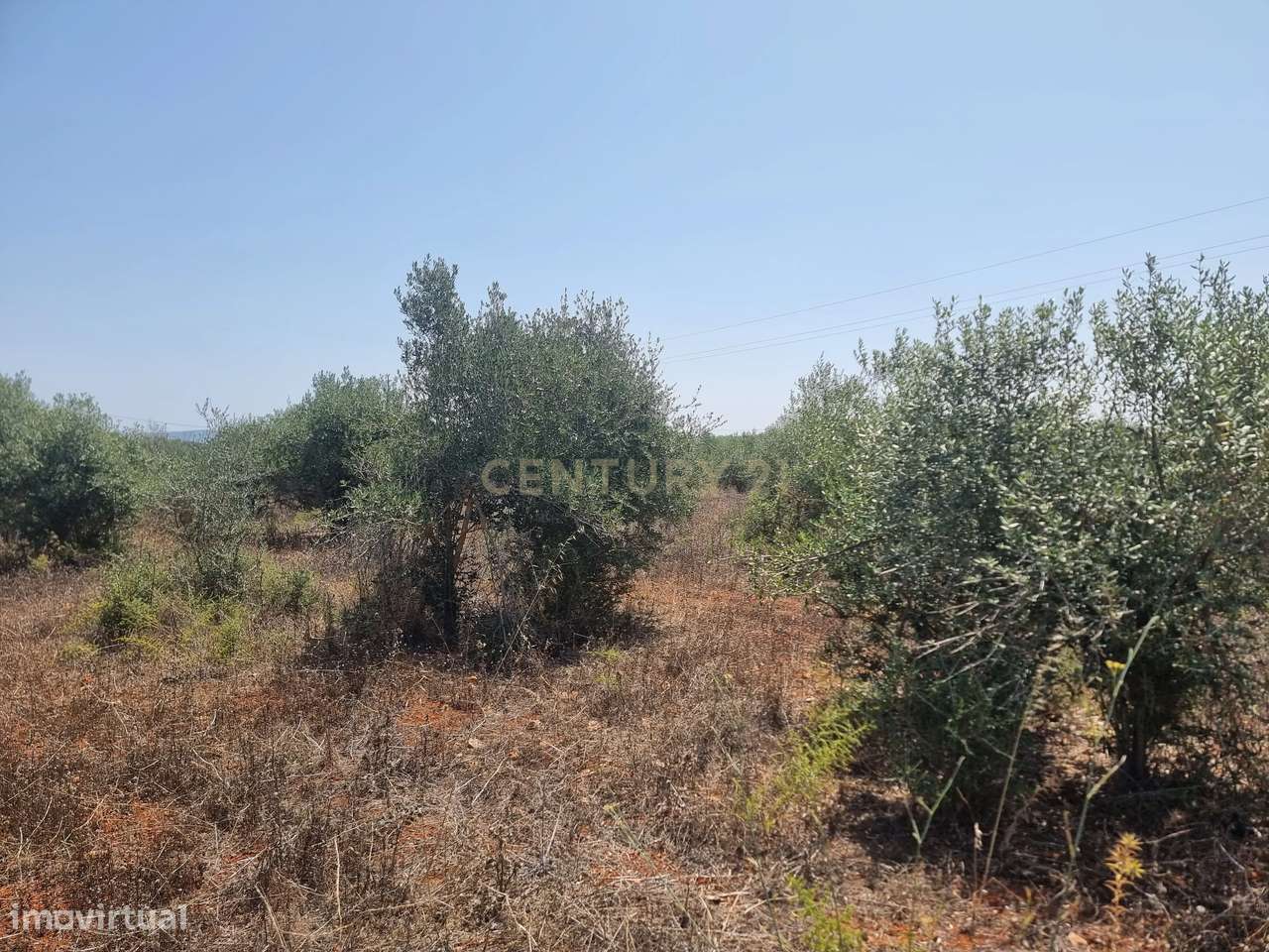 Terreno Aprovado em São Bartolomeu de Messines, Silves - Algarve - Grande imagem: 2/9