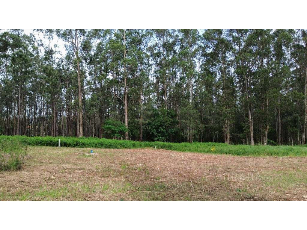 Lote com projeto aprovado para moradia em São Miguel de Souto - San...-15