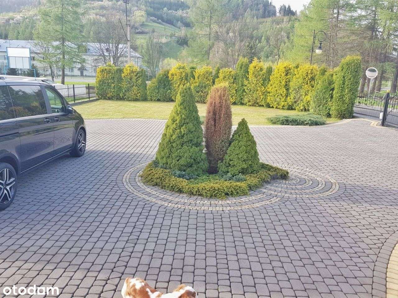 Dom, 205 m², Muszyna - Pełny obrazek: 4/20