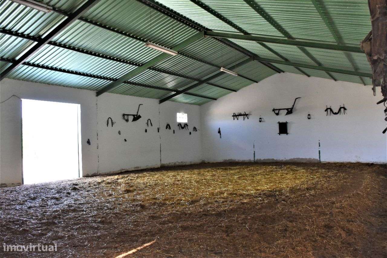 Quinta em Évora com 2,25 ha vocacionada para o mundo equestre-25