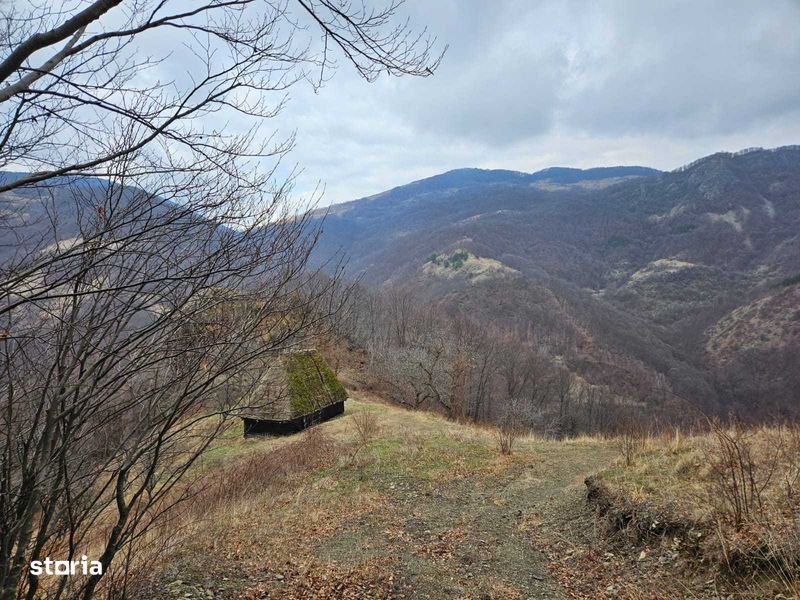 Teren in Ramet pe Transalpina de apuseni