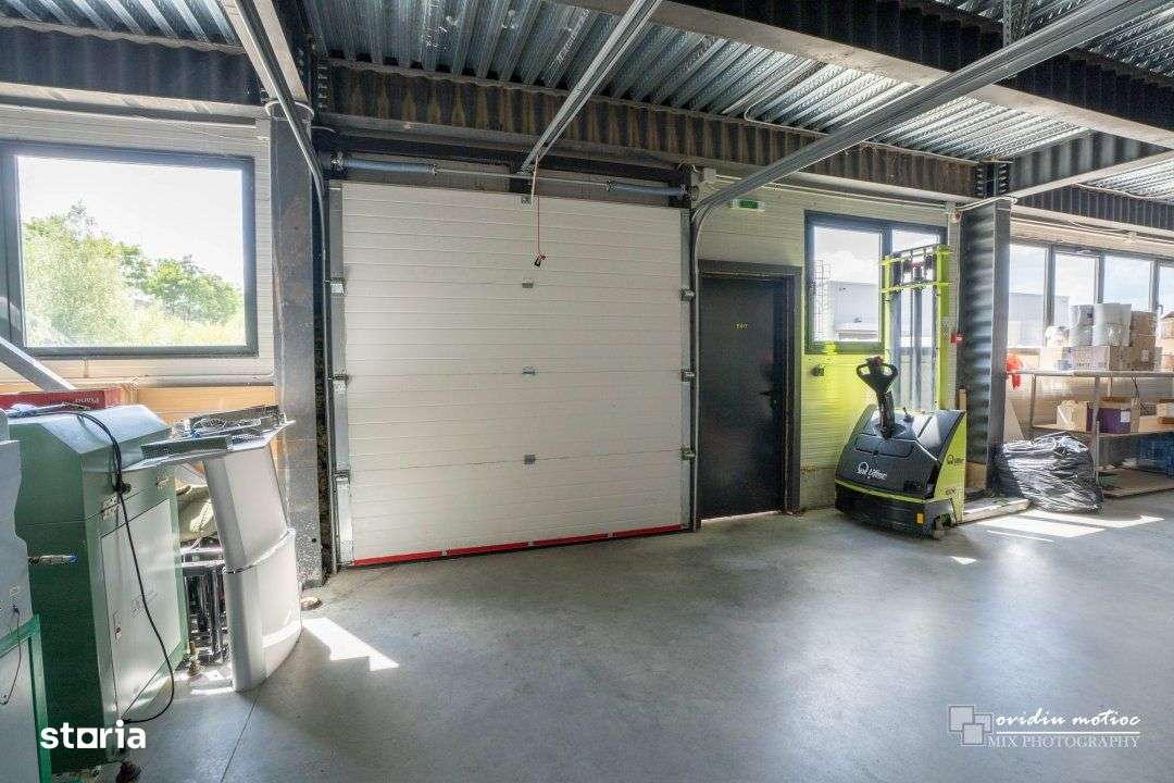 Hale in parcul Tetarom I-9