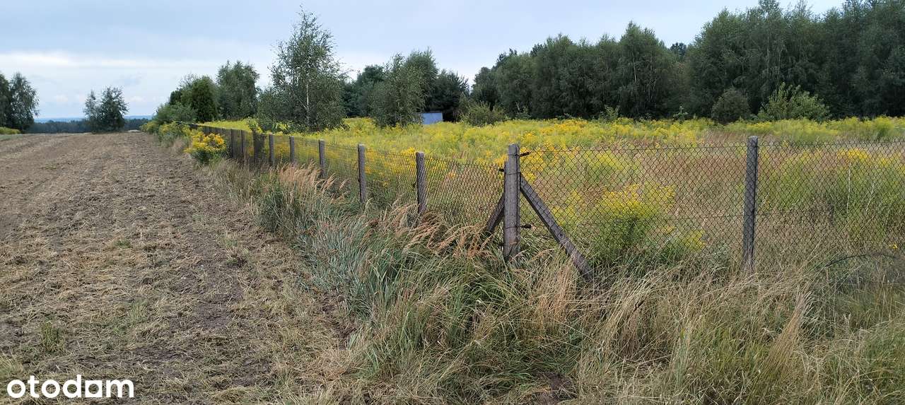Mzyki/Myszków ogrodzona i uzbrojona działka budowlana-1