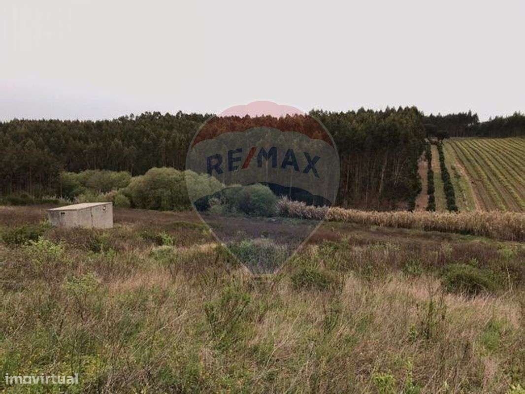 Terreno  para venda - Grande imagem: 4/16