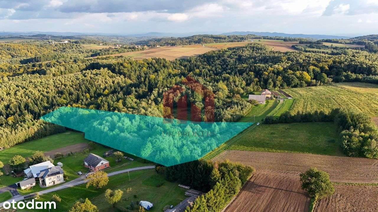 1,47 ha, Wz! dom w lesie? biznes? Jedyna taka!-2