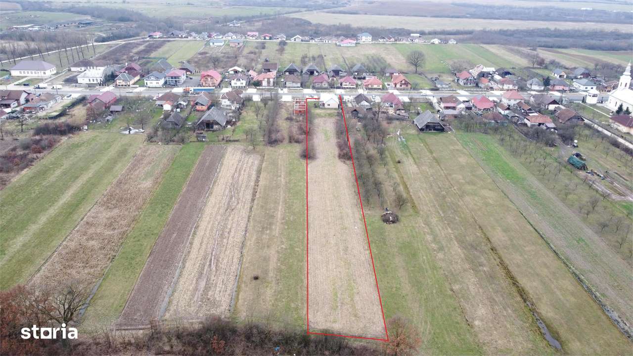 Casa cu 3 camere, renovata integral | Teren 4.748 mp | Borlesti-18