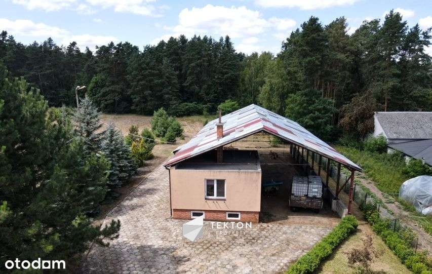 Działka rolna z zabudową-1,6 ha pod Twoje potrzeby - Pełny obrazek: 4/5