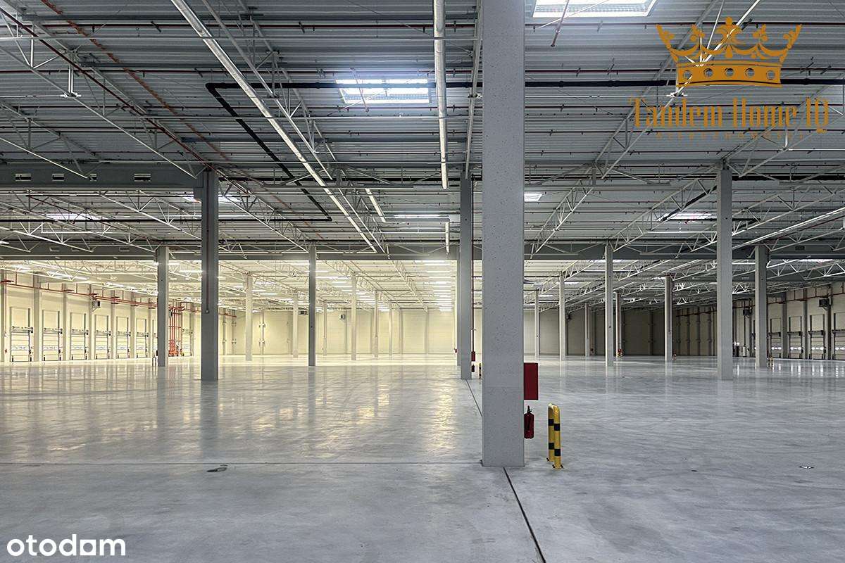 Hala magazynowa klasy A 1636m2 - Targówek droga S8 - na wynajem - Pełny obrazek: 4/8