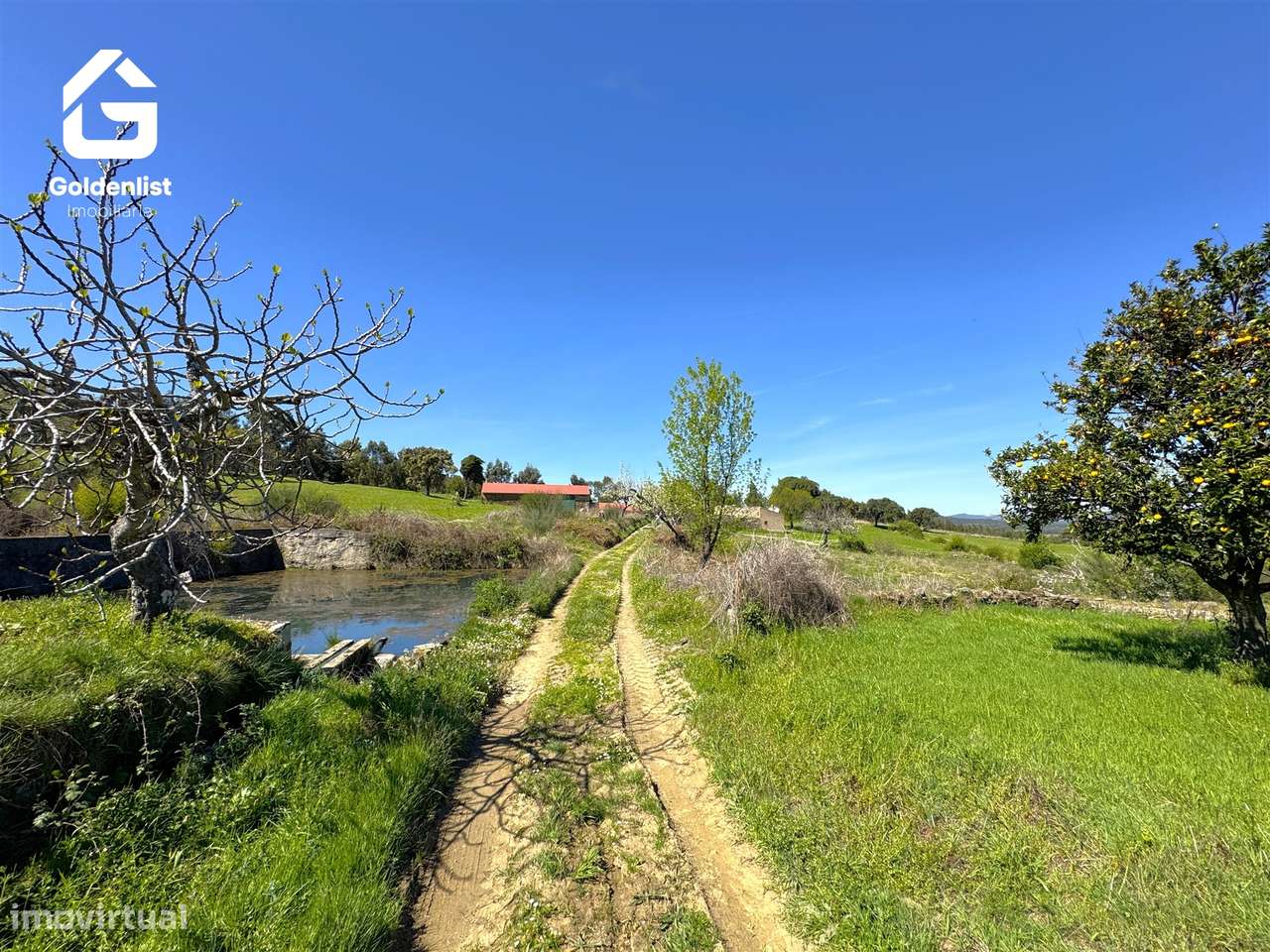 Herdade  Venda em Penamacor,Penamacor-17