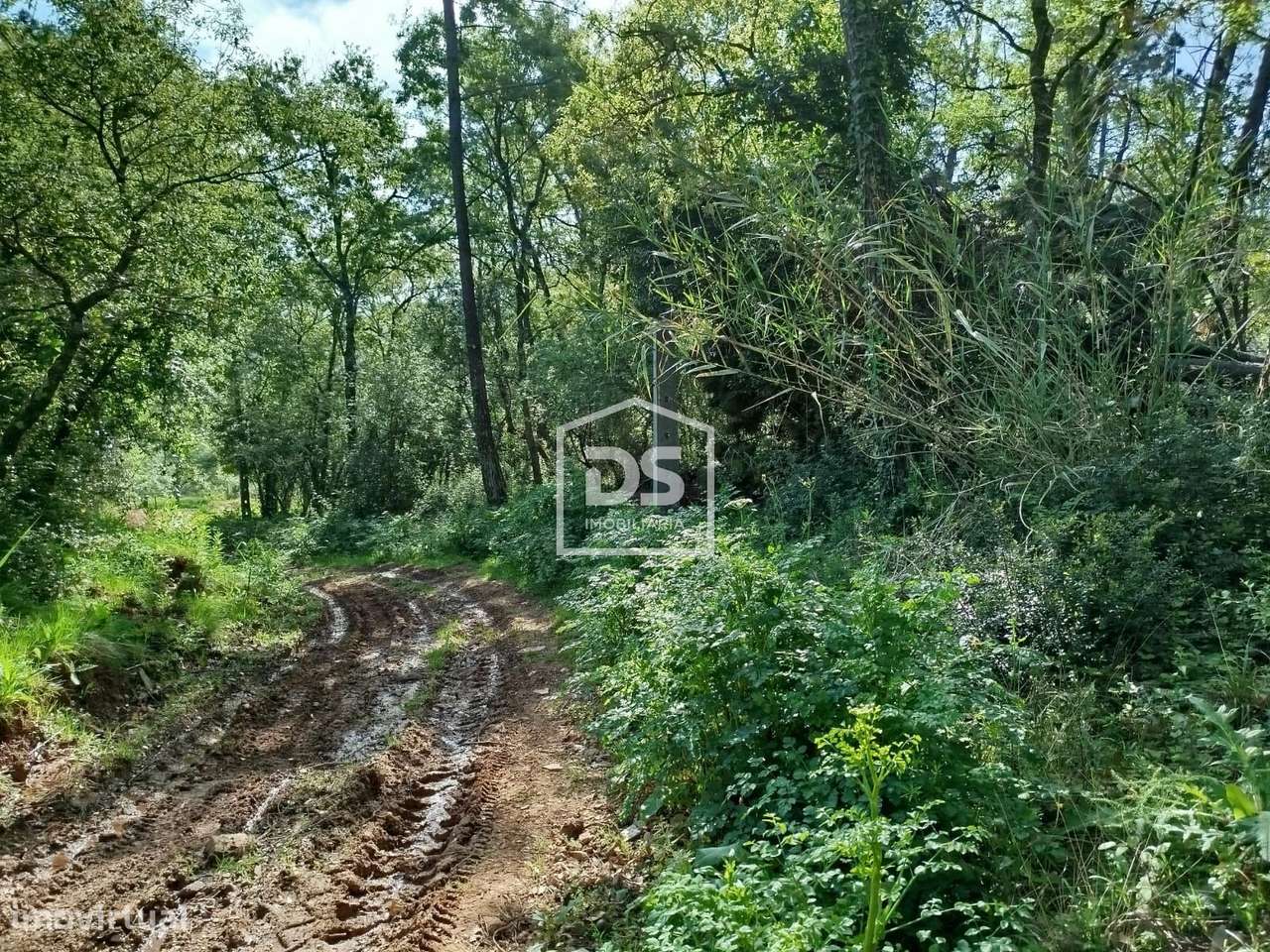 Terreno  Venda em Évora de Alcobaça,Alcobaça - Grande imagem: 5/7