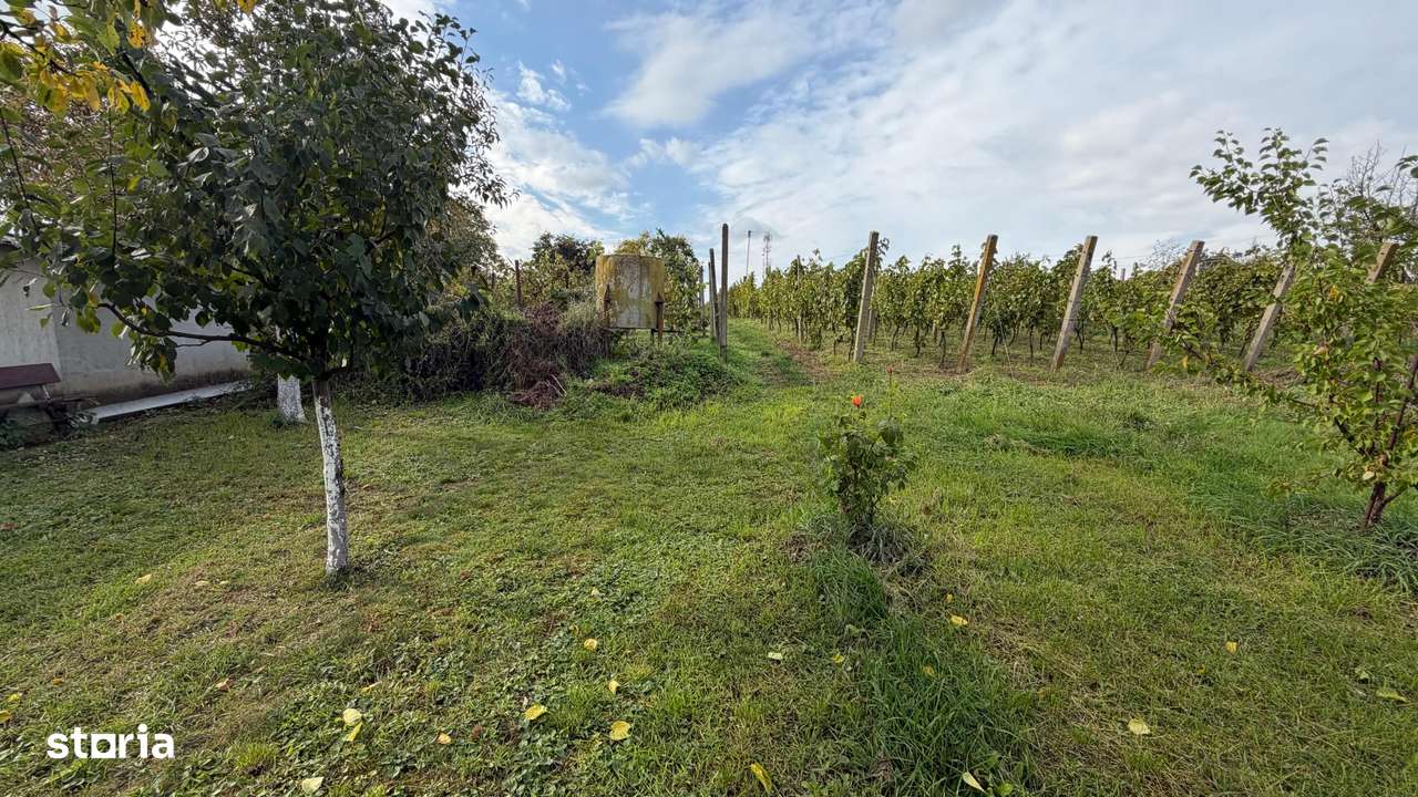 Casa de vacanta la 100m de strandul cu apa termala-10