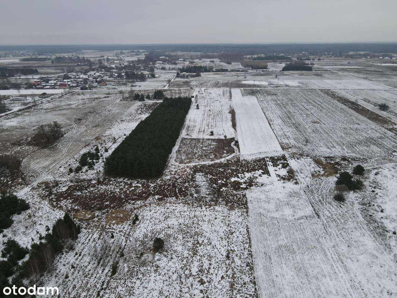 ELIASZUKI Dz o pow 4,4310 ha z własnym Puszczańskim Lasem BEZ SASIADÓW-16