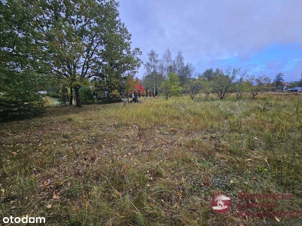 Działka ze stawem !!!! Świetna lokalizacja ! - Pełny obrazek: 5/7