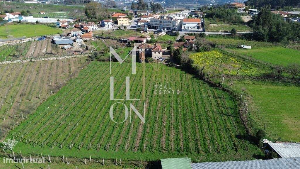Quinta do Loureiro: Uma Casa Solar Histórica e Elegante em Lousada-43