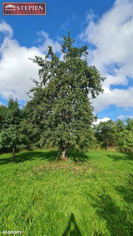 Dom w spokojnej okolicy - Pełny obrazek: 5/16