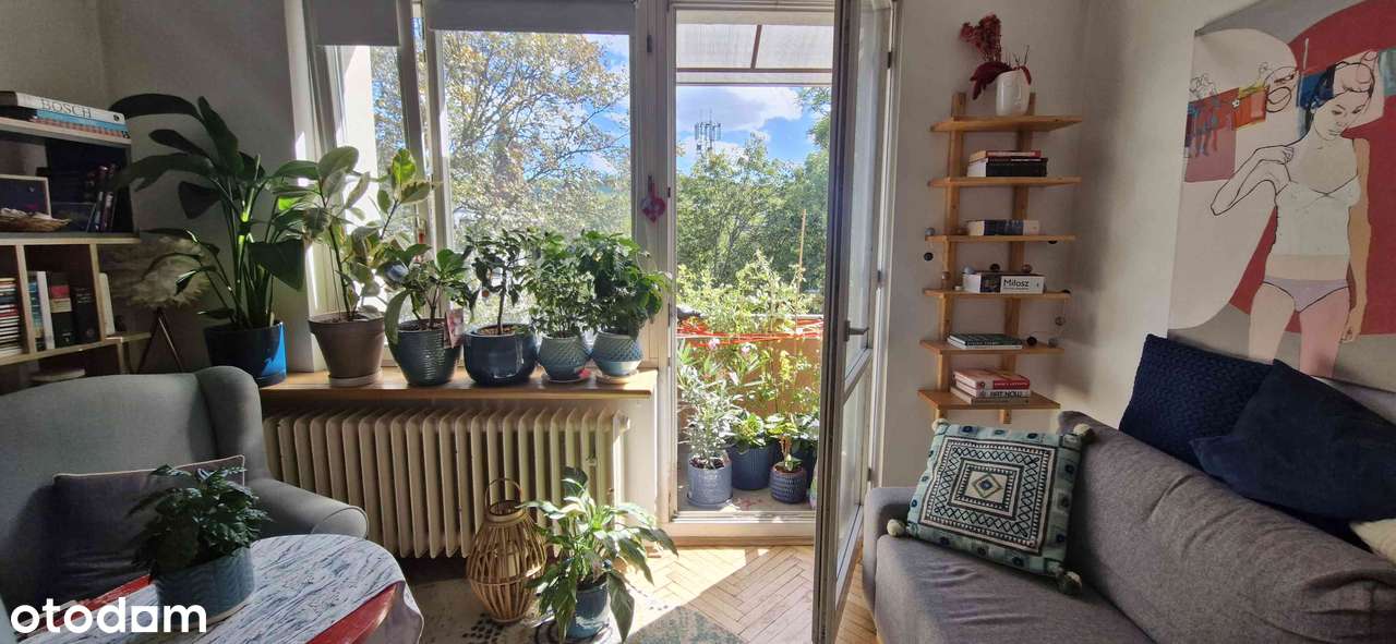 Stare Podgórze, przepiękny widok, jasne, cisza i zieleń! - Pełny obrazek: 5/20