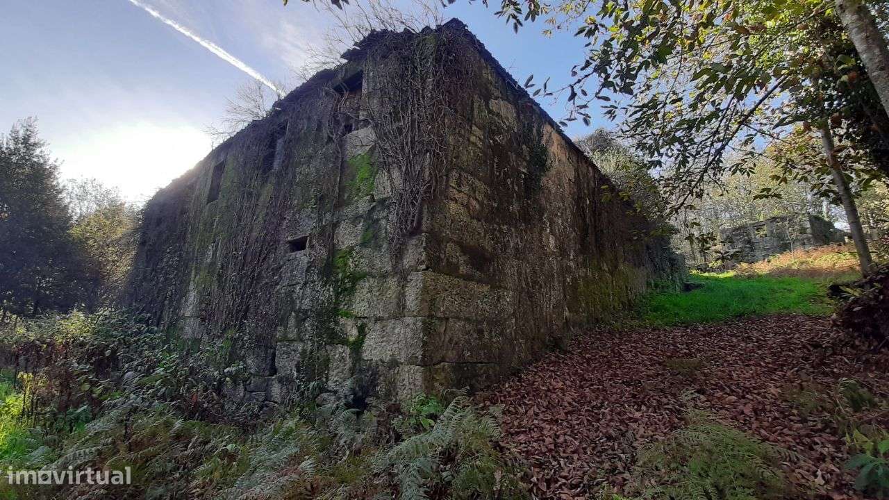 Quinta c/casas granito – São Pedro do Sul - Grande imagem: 4/51