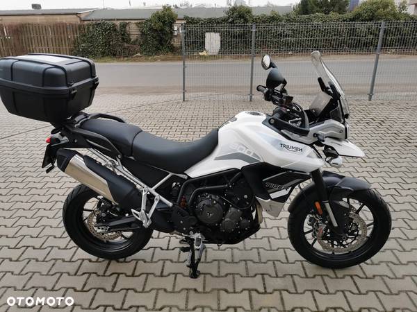 Triumph Tiger - 1