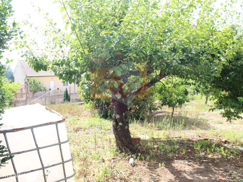 Terreno urbano no Bairro dos Pedrogãos em Caneças-10