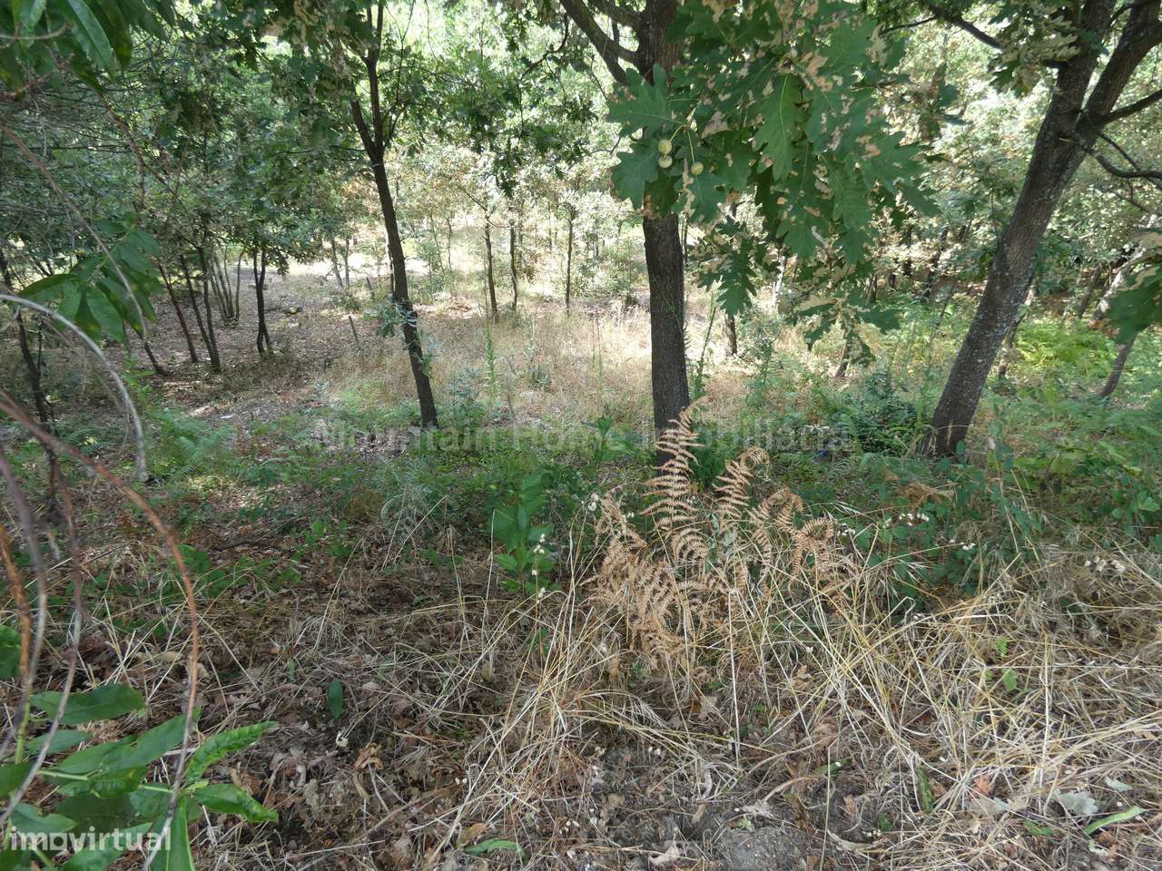 Terreno Para Construção  Venda em Seia, São Romão e Lapa dos Dinheiros - Grande imagem: 5/9