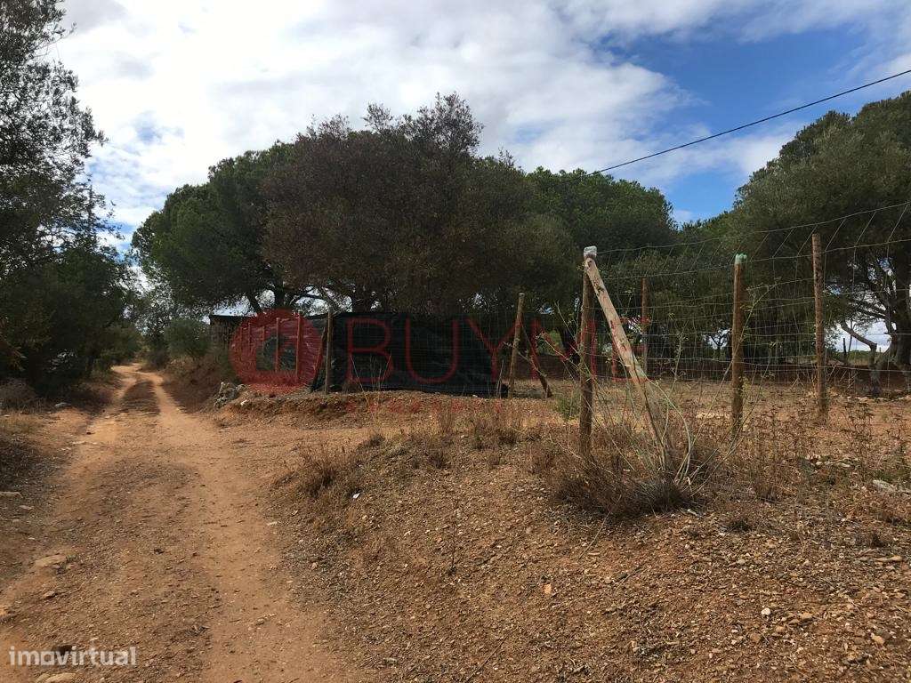 Terreno Misto com Potencial Residencial e Rústico em Boliqueime - Grande imagem: 3/16