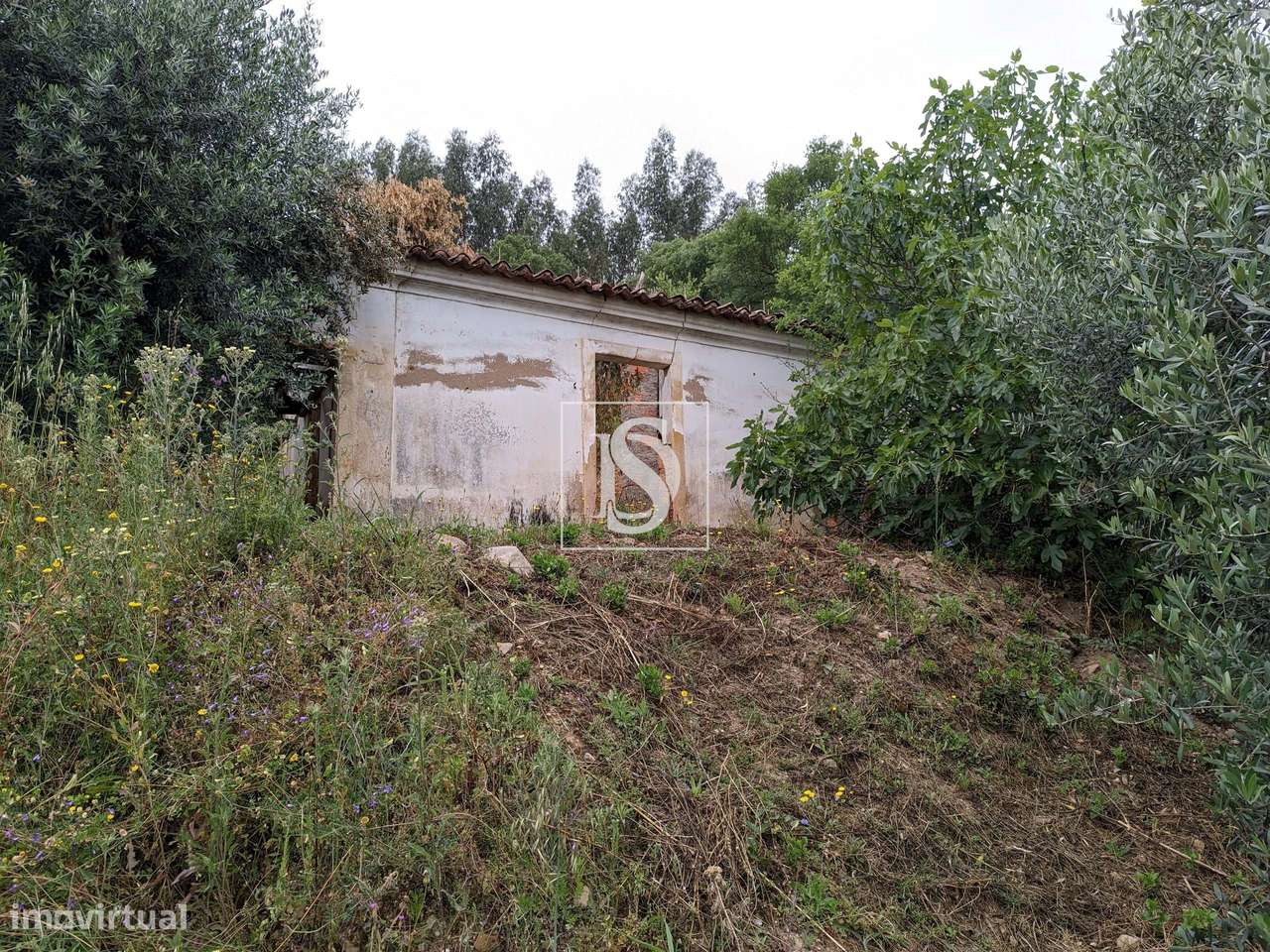 Ruína com Terreno - Pucariça - Aldeia do Mato - Grande imagem: 3/24