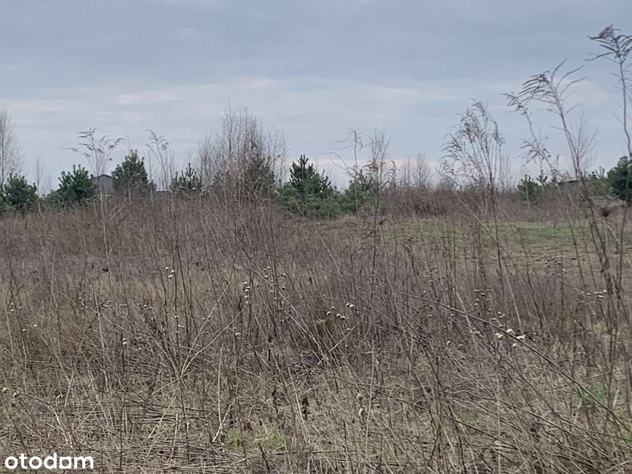 Atrakcyjna działka w poszukiwanej lokalizacji Osielsko - Pełny obrazek: 2/2