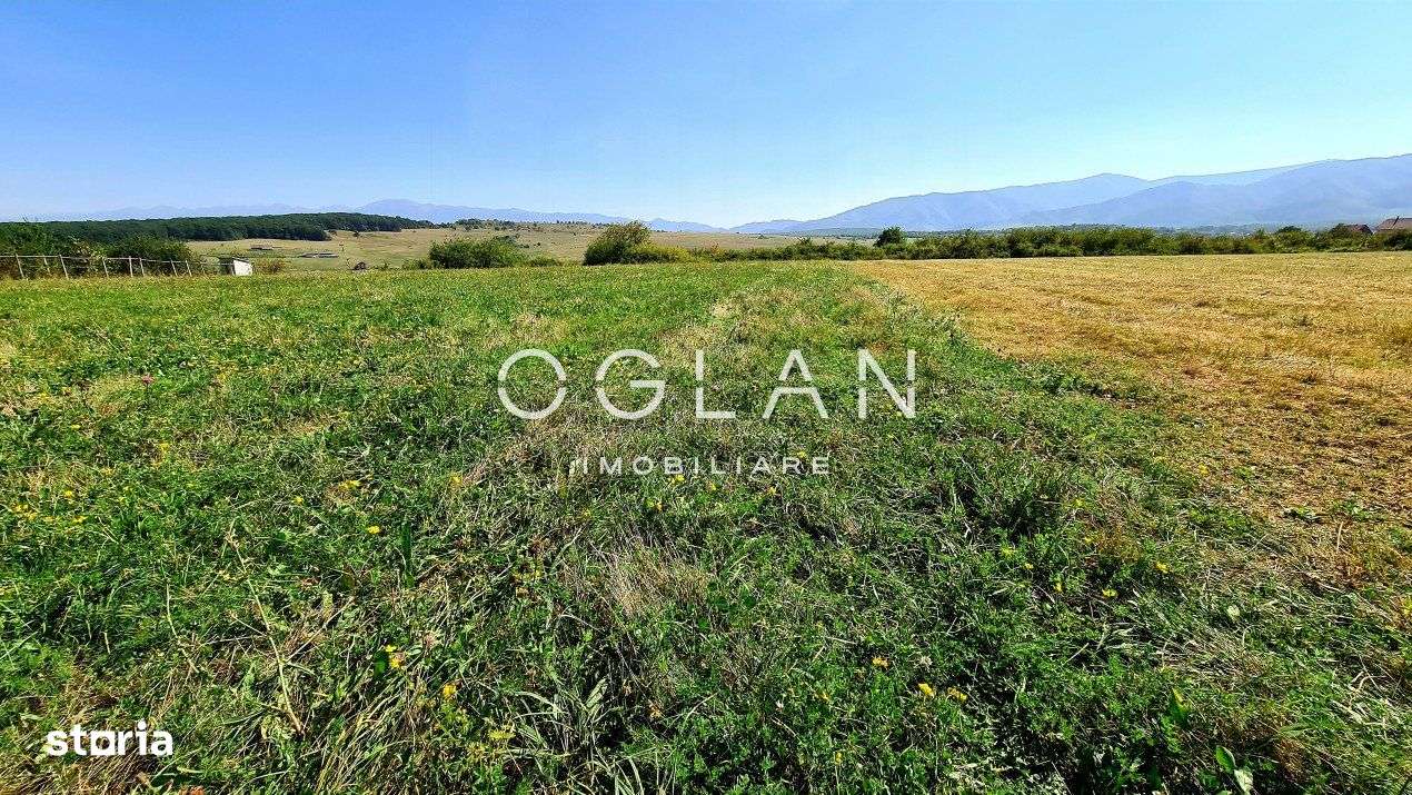 Teren Intravilan Intrare Cisnadie 2325 mp deschidere 25 ml - Imagine principală: 1/3