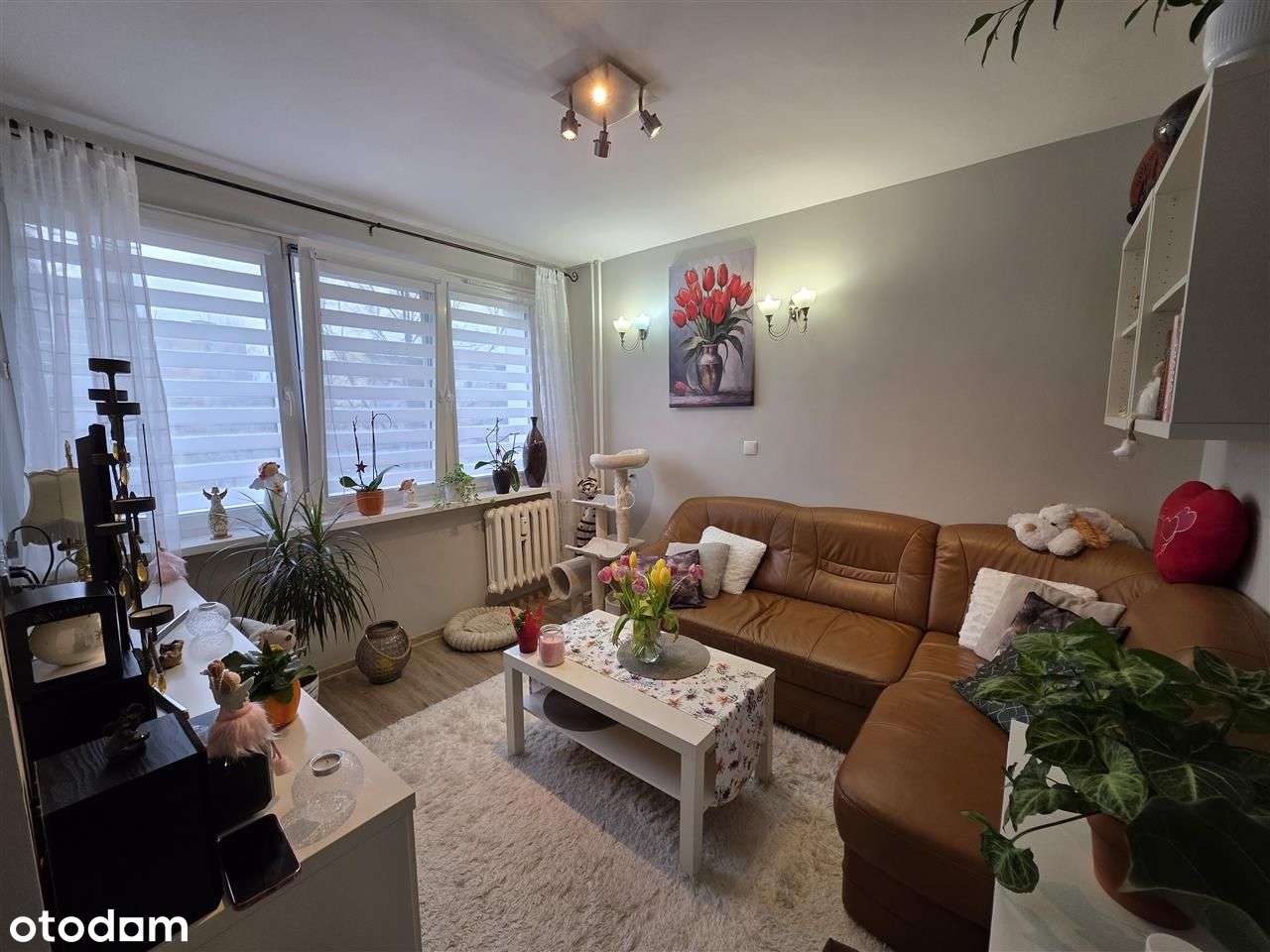 2 pokoje na II piętrze, 32m2, Nasz Dom. - Pełny obrazek: 5/8