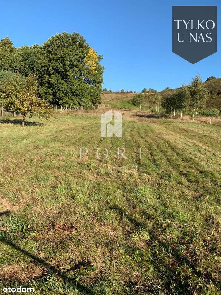 Działka z wydanymi warunkami zabudowy. - Pełny obrazek: 5/5