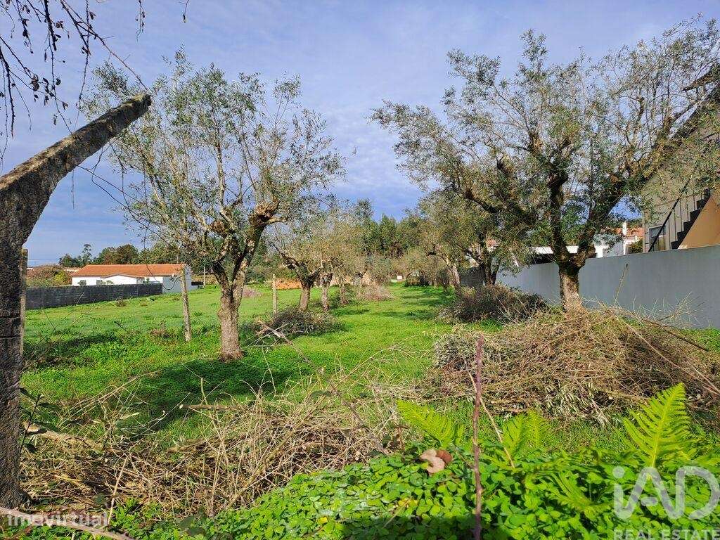Terreno em Poiares (Santo André) - Grande imagem: 5/9