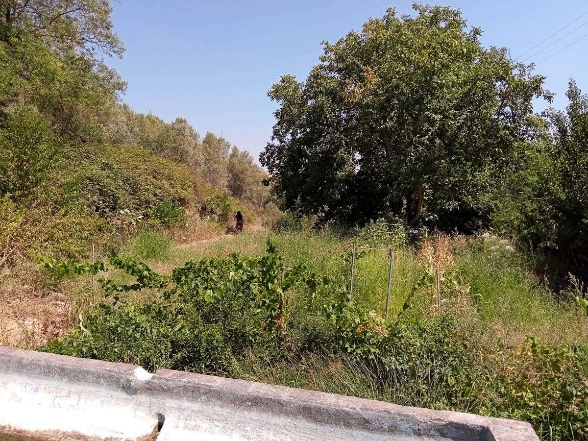 Terreno Rústico com 10.740m2 - Grande imagem: 3/7