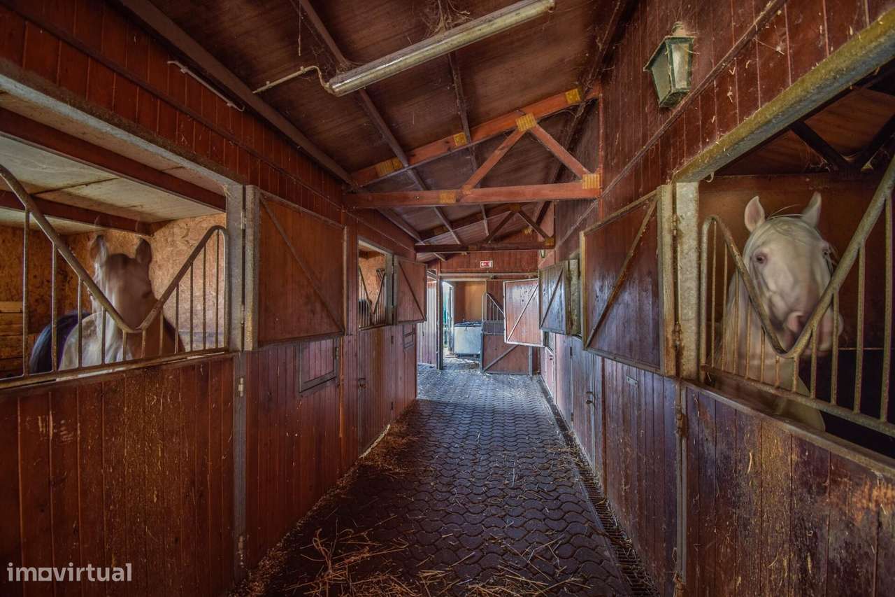 Quinta com Solar e Capela - Referência Histórica em Mafra-41