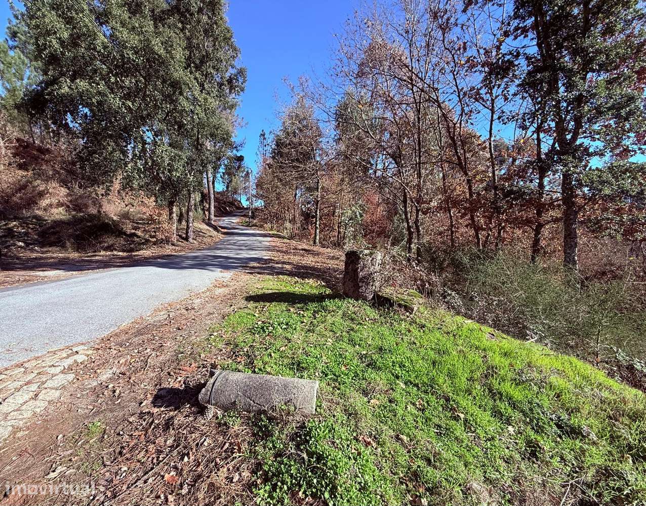 Terreno em Celorico de Basto-7