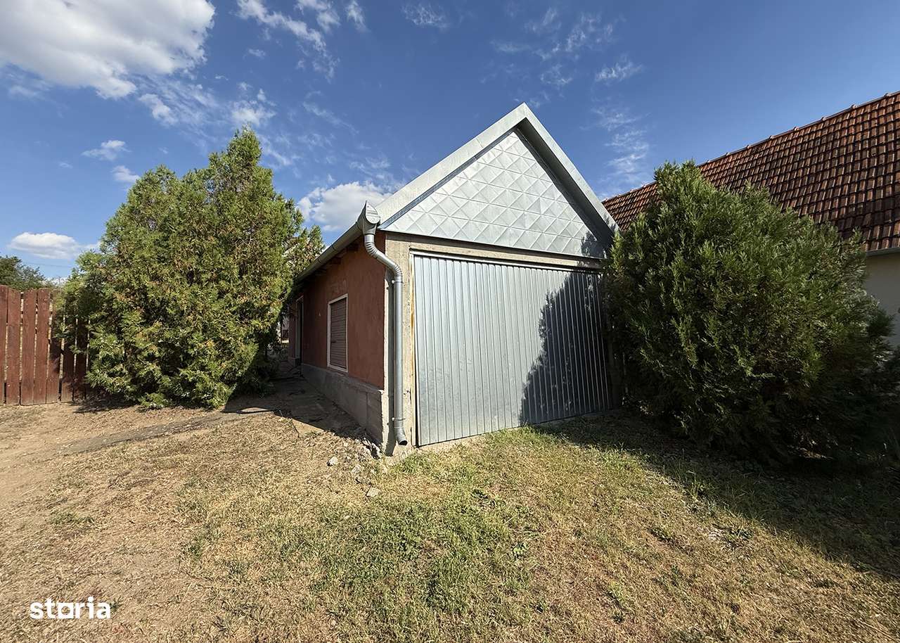 Casa cu teren de 8000 mp. - Cetariu - IMOBIHOR - Imagine principală: 3/14