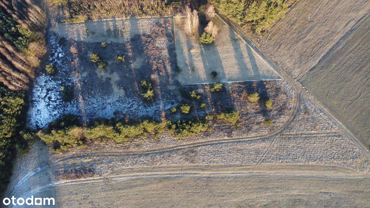 Działka rolna przy lesie  9893 m², Postolin k. Milicza-1