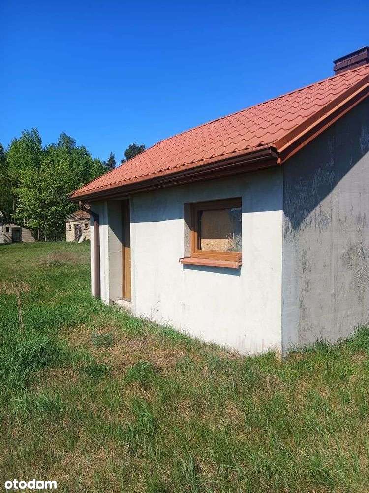 Sprzedam posiadłość z prywatnym lasem - Pełny obrazek: 5/13