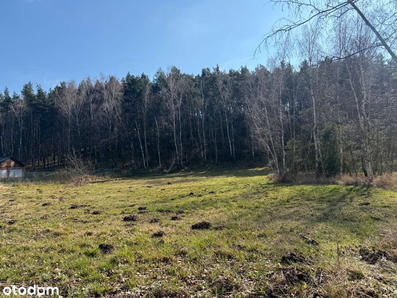 Działka budowlana przy lesie i jeziorze