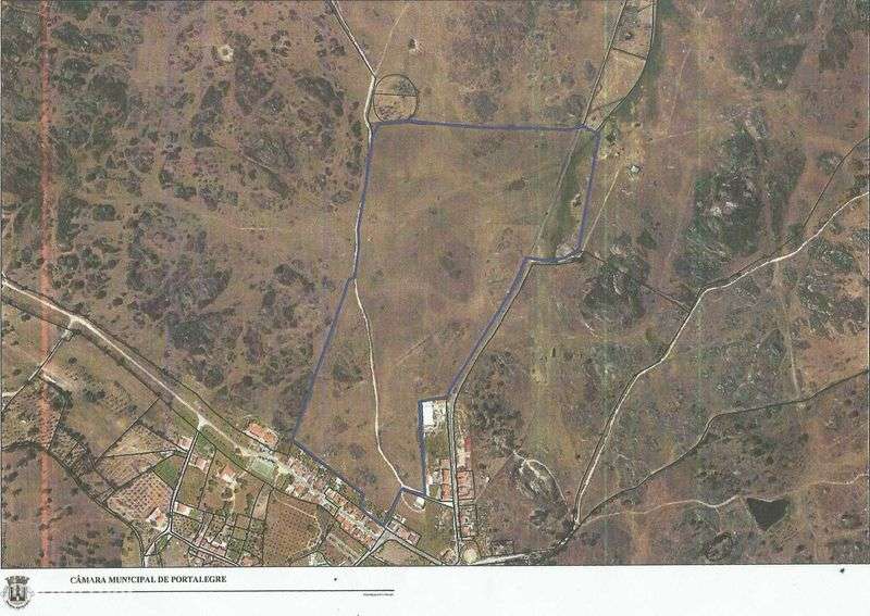 Vende-se herdade com 221.000m2 em Alagoa - Portalegre (Alentejo) - Grande imagem: 4/4