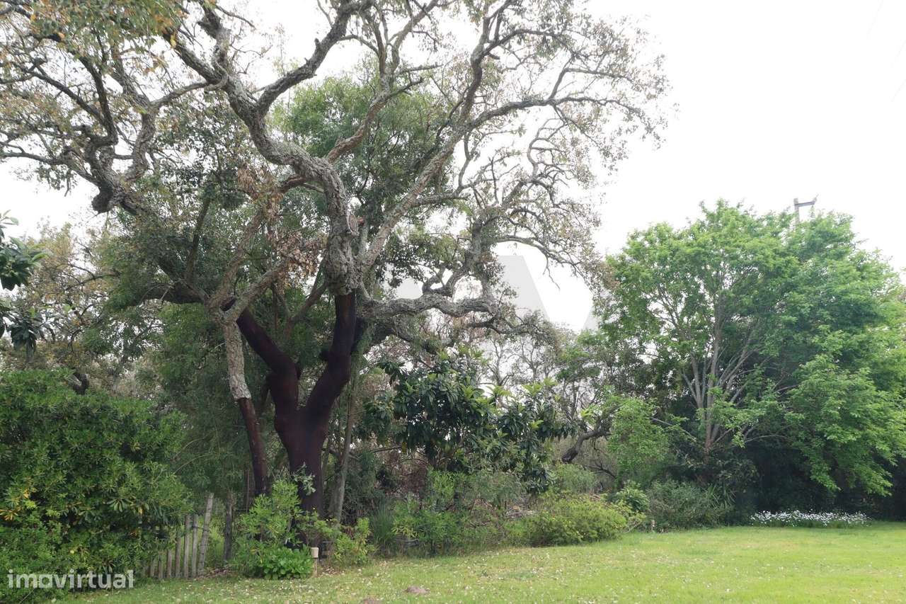 MORADIA SANTO ESTEVÃO - HERDADE DO ZAMBUJEIRO-17