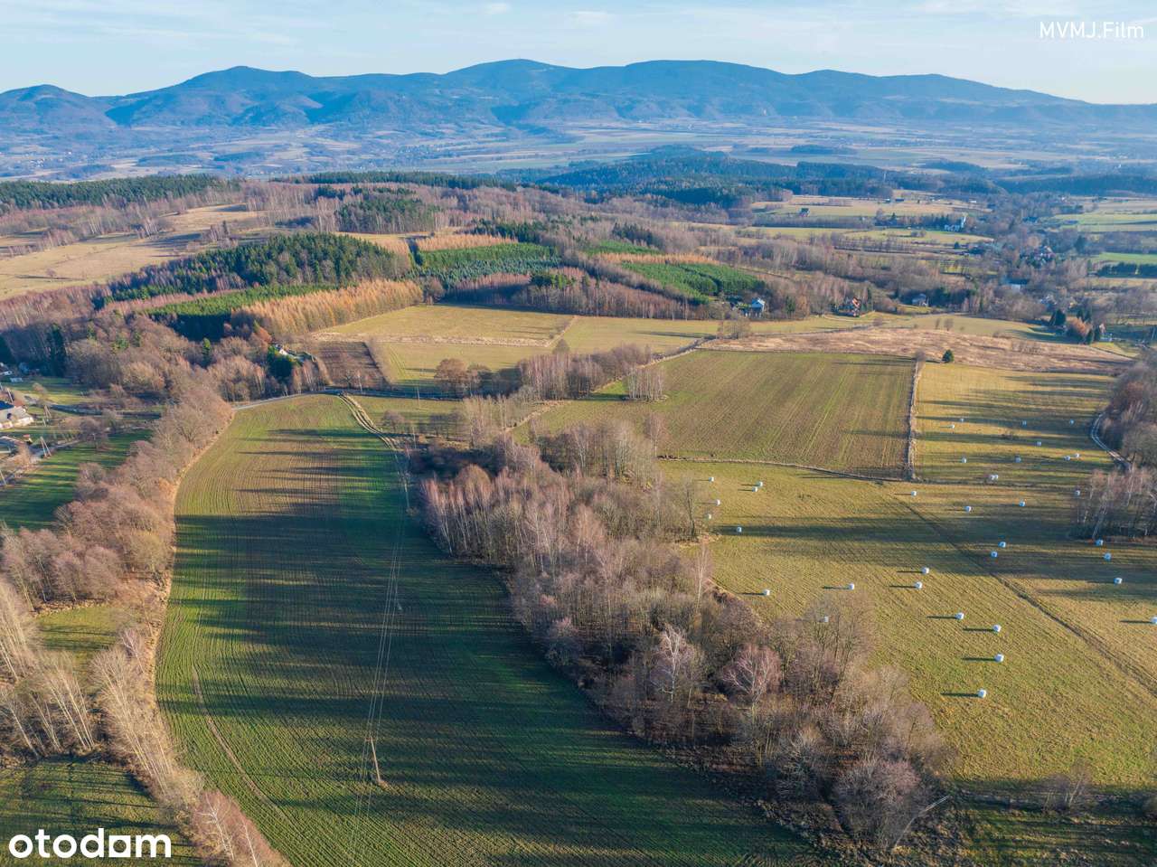 Działka 5 000 m² z pozwoleniem na budowę - Wyszki, gm. Bystrzyca Kł.-0
