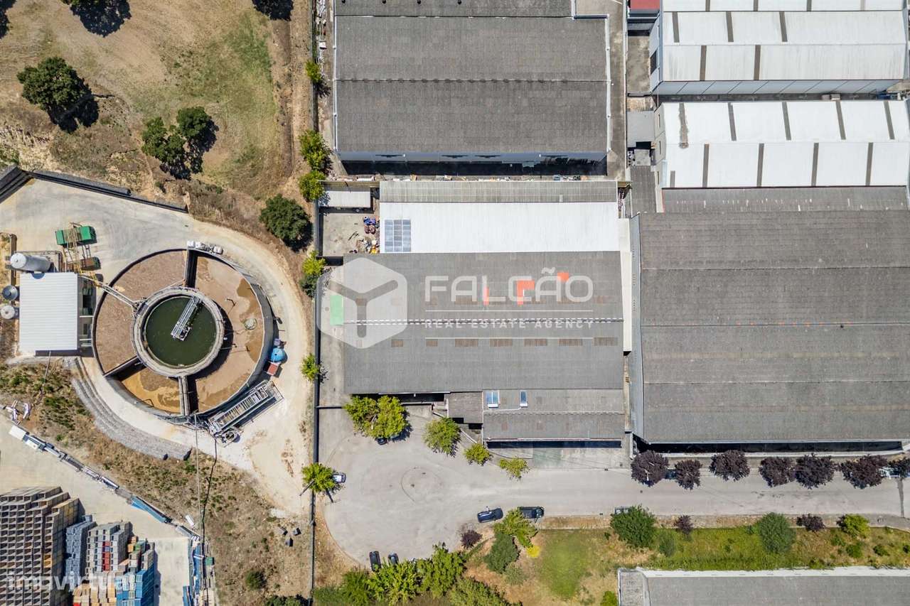 Armazém  Venda em Romeira e Várzea,Santarém - Grande imagem: 5/60