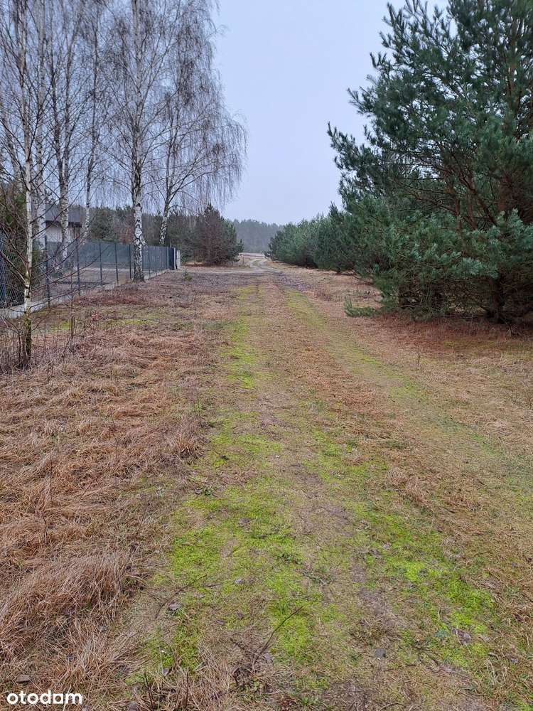 Działka budowlana 40 km od centrum Warszawy - Pełny obrazek: 4/5