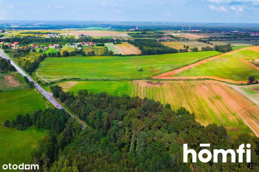 Działka inwestycyjna 11,9 ha w Mazurowicach-5